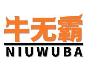 牛无霸 