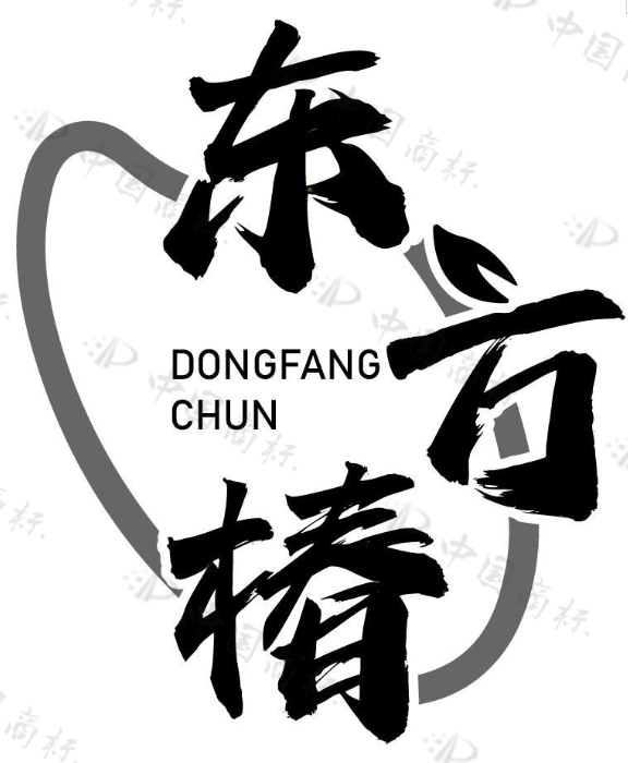 东方椿 