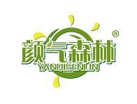颜气森林 