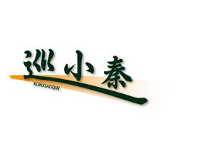 巡小秦 