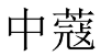 中蔻 
