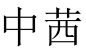中茜 