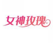 女神玫瑰 