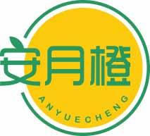 安月橙ANYUECHENG 