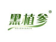 黑植参 