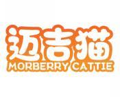 迈吉猫 MORBERRY CATTIE 