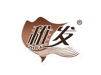 稚发 