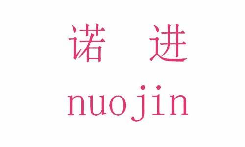 [45类]诺进