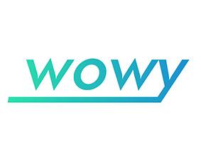 [45类]WOWY