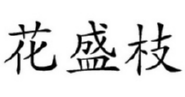 花盛枝 
