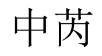 中芮 