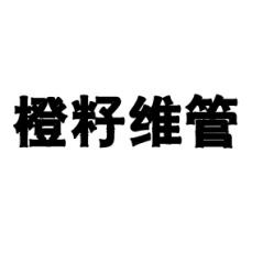 橙籽维管 