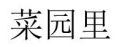 菜园里 