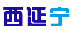 西延宁 