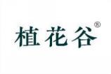 植花谷 
