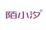 陌小汐 