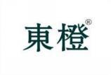 东橙 