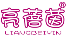 亮蓓茵 