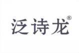 泛诗龙 