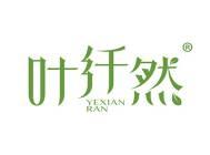 叶纤然 