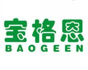 宝格恩 