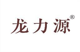 龙力源 