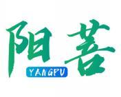 阳菩