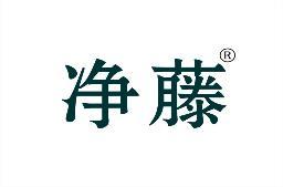 净藤 