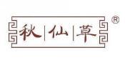 秋仙草  