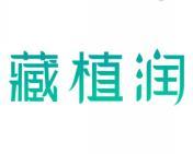 藏植润 