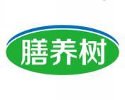 膳养树 