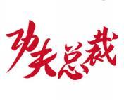 功夫总裁 