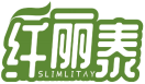 纤丽泰SLIMLITAY 