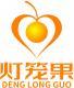 灯笼果+拼音+图形 
