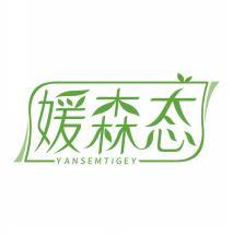 媛森态 YANSEMTIGEY 