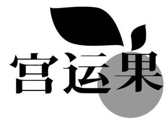 宫运果 