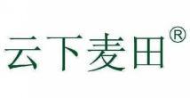 云下麦田 