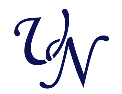 VN 