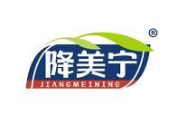 降美宁 