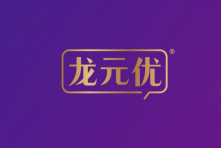 龙元优 