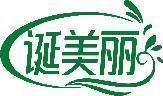 诞美丽 