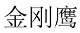金刚鹰 