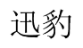 迅豹 