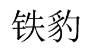 铁豹 