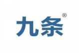 九条 