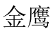 金鹰 