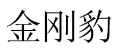[7类]金刚豹