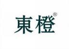 东橙 