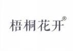 梧桐花开 