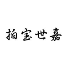 拍宝世嘉 